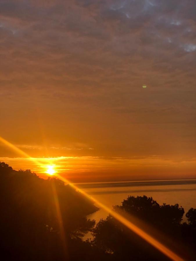 Apartamento Junto Al Mar En Costa Tropical Y Alpujarras Granadinas Melicena 外观 照片